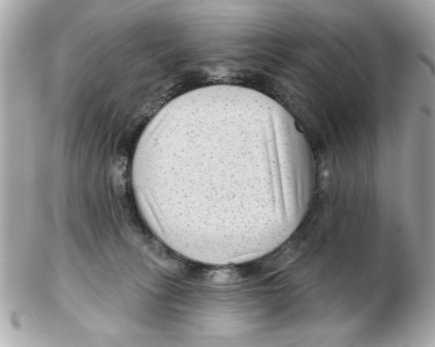 X0000102540275200808291848