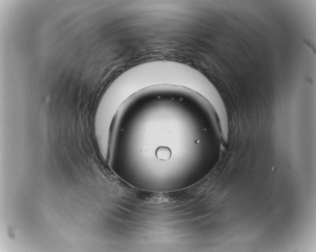 X0000102540276200808291849