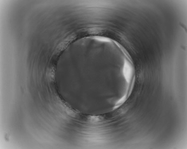 X0000102540277200808291849