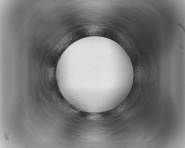 X0000102540278200808291849