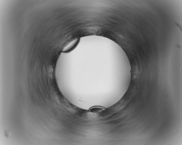 X0000102540279200808291849