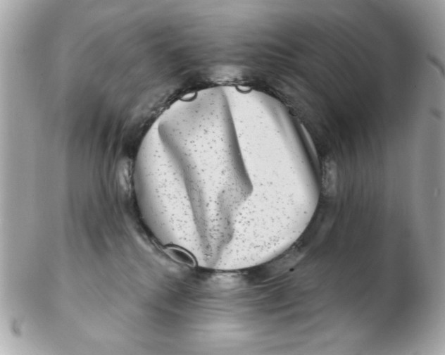 X0000102540280200808291849