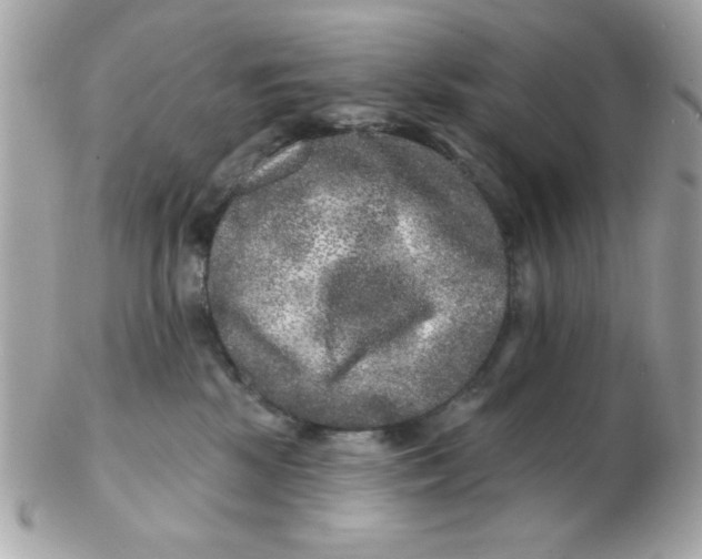 X0000102540281200808291849