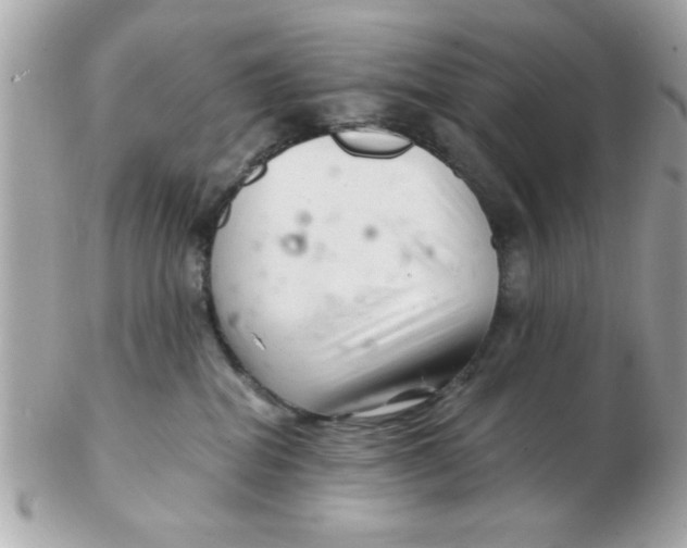 X0000102540282200808291849