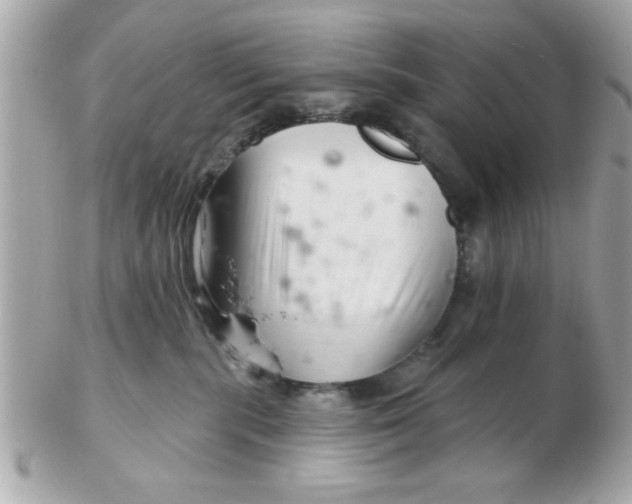 X0000102540283200808291849