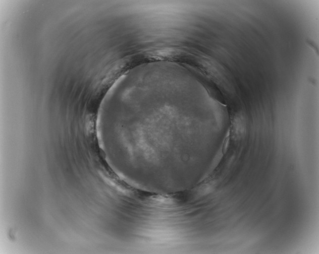 X0000102540284200808291849