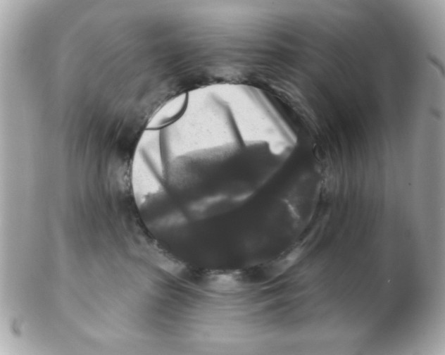 X0000102540285200808291849