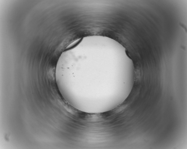 X0000102540286200808291849