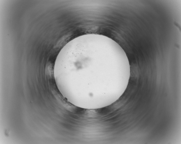 X0000102540287200808291849