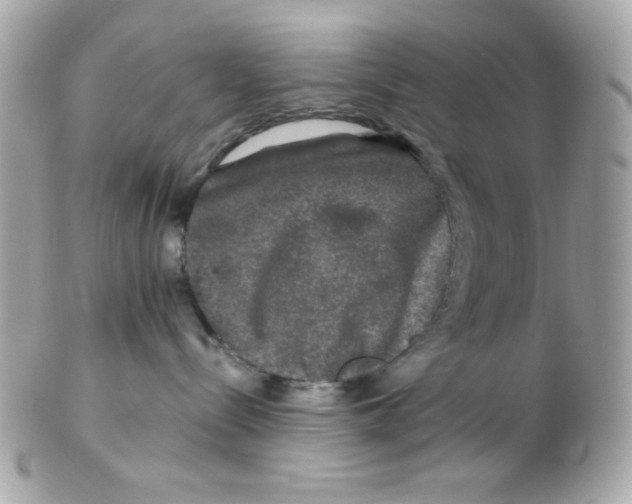 X0000102540288200808291849