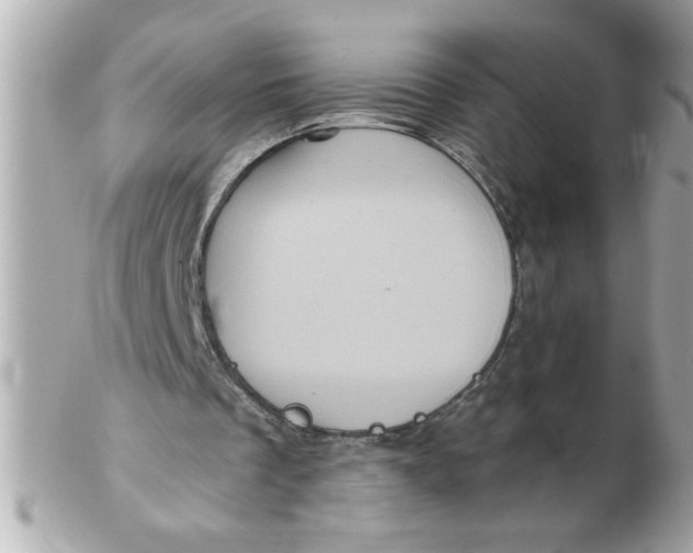 X0000102540289200808291848