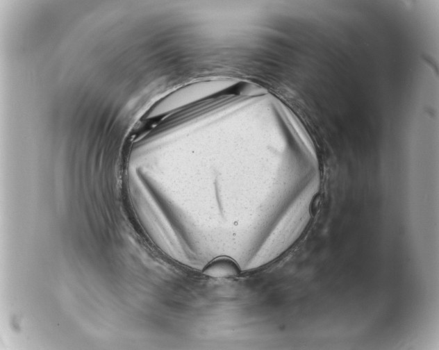 X0000102540290200808291848