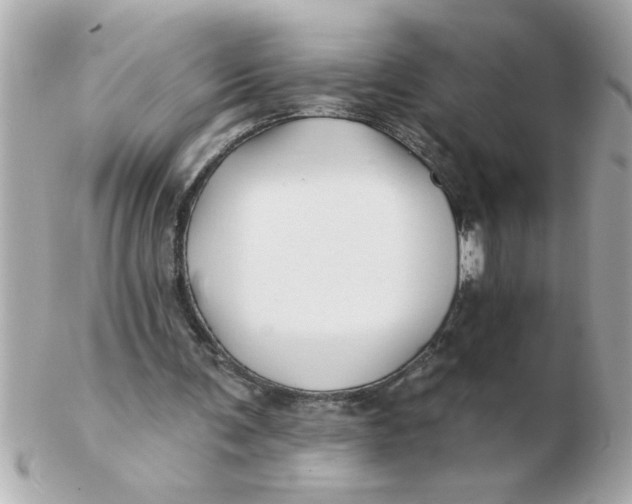 X0000102540291200808291848