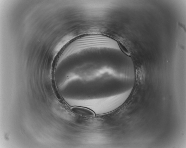 X0000102540292200808291848