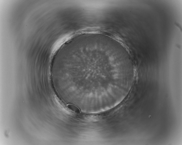 X0000102540293200808291848