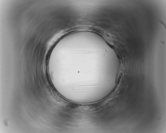 X0000102540294200808291848