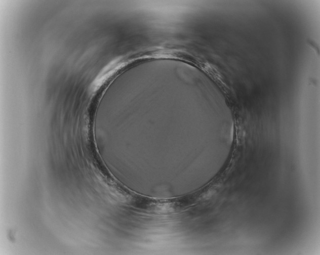 X0000102540295200808291848