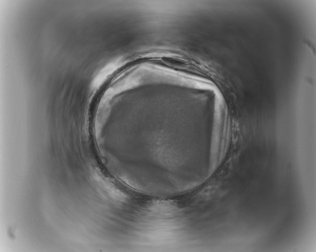 X0000102540296200808291848