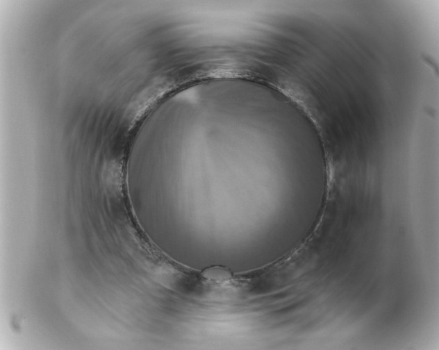 X0000102540297200808291848