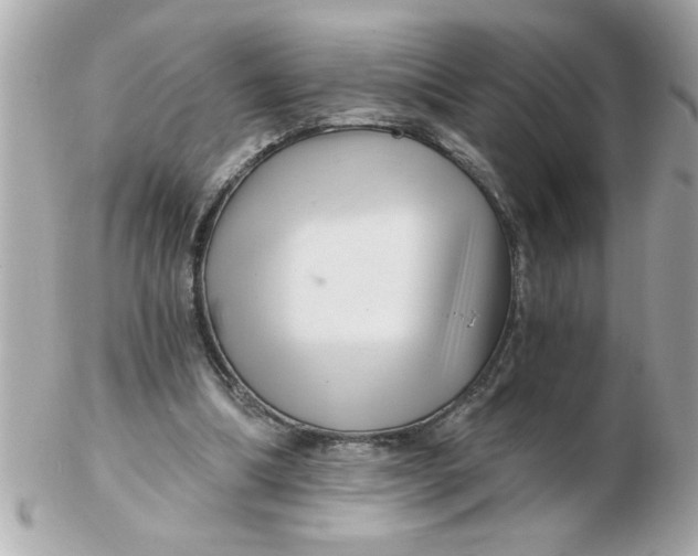 X0000102540298200808291848