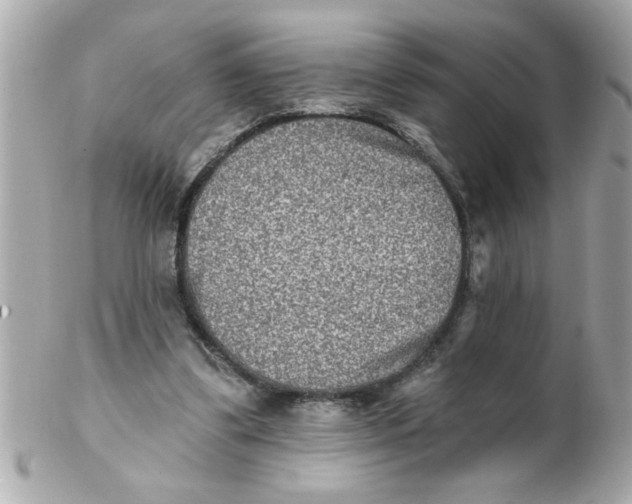 X0000102540299200808291848