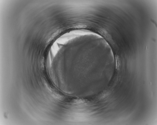 X0000102540300200808291848