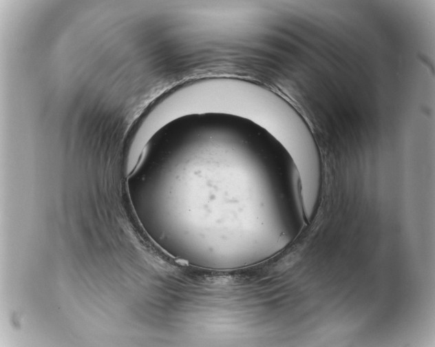 X0000102540301200808291848