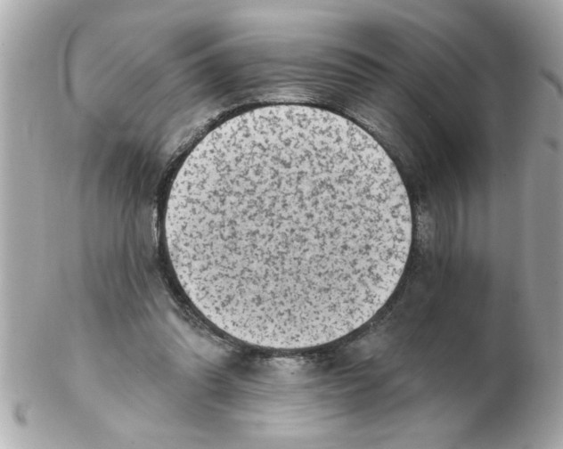 X0000102540302200808291848