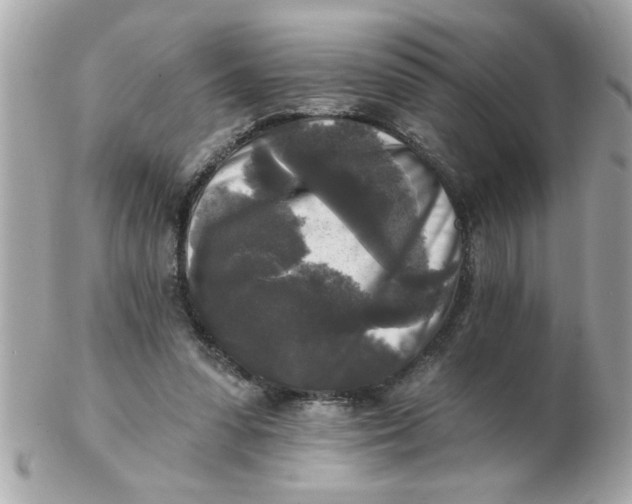 X0000102540303200808291848