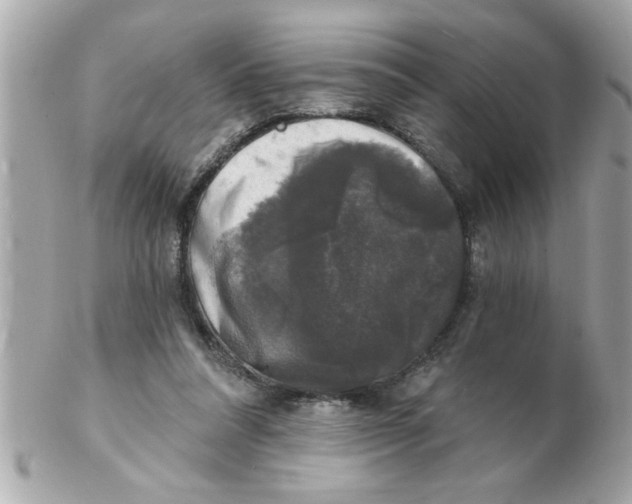 X0000102540304200808291848