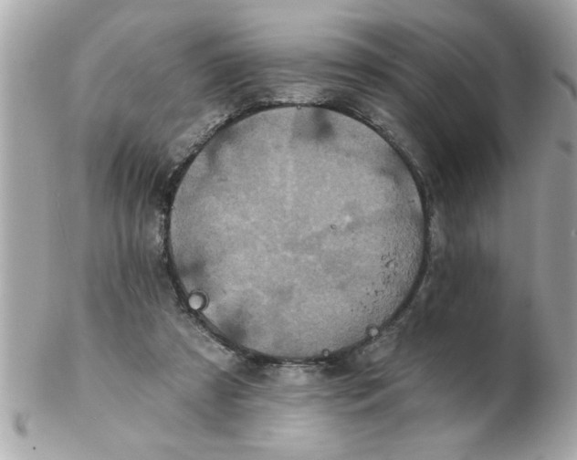 X0000102540305200808291848