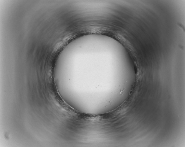 X0000102540306200808291848