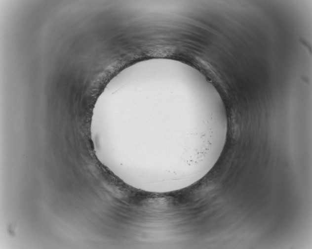 X0000102540307200808291848