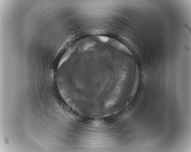 X0000102540308200808291848