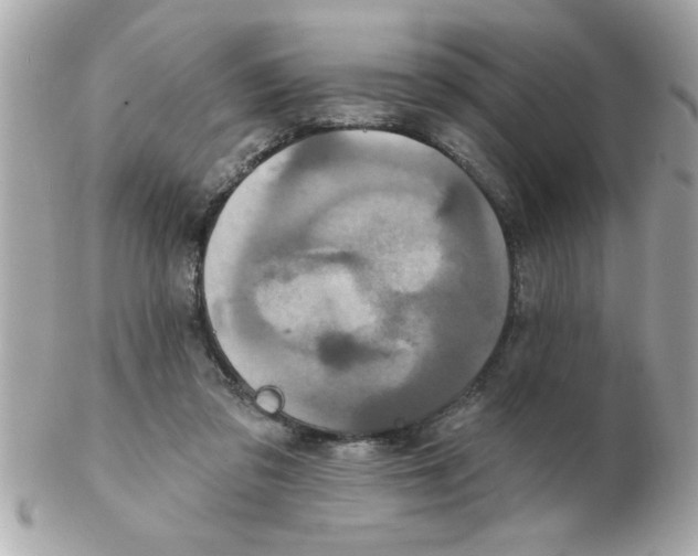 X0000102540309200808291848