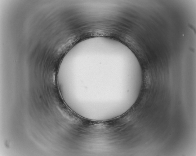 X0000102540310200808291848