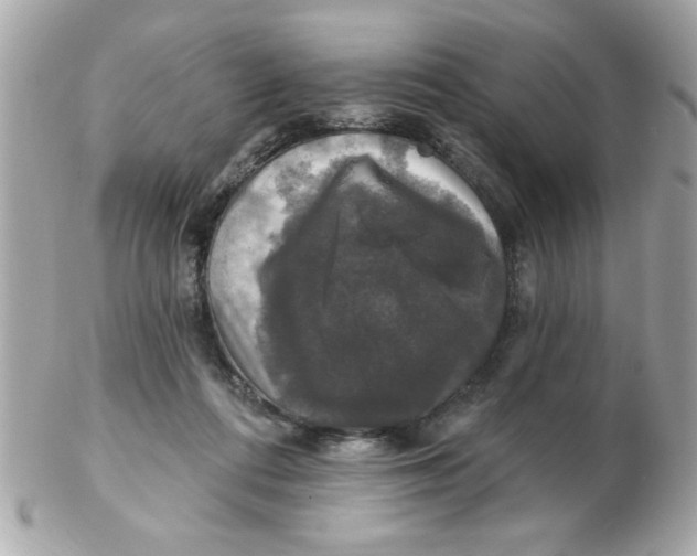 X0000102540312200808291848