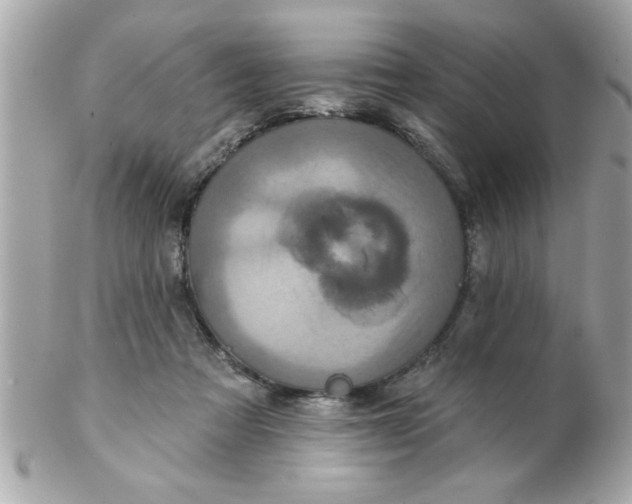 X0000102540313200808291848