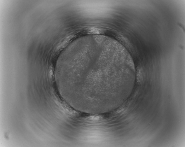 X0000102540314200808291848