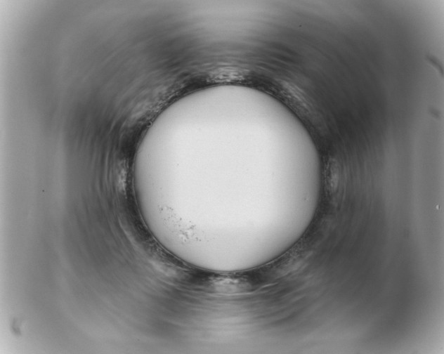 X0000102540315200808291848