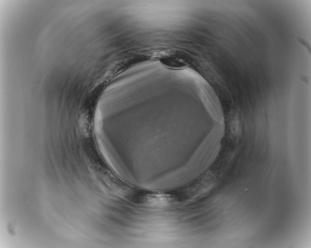 X0000102540316200808291848