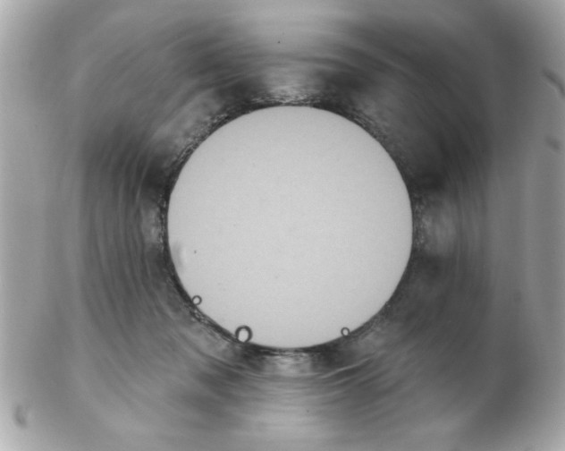 X0000102540317200808291848