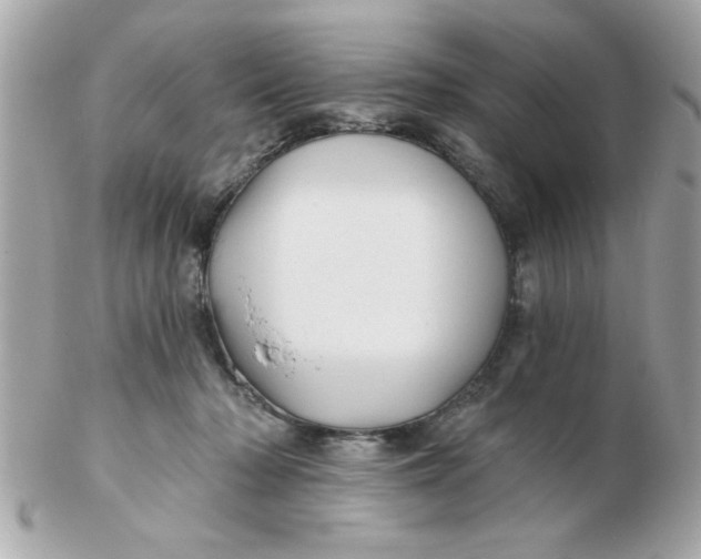 X0000102540318200808291848