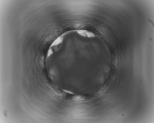 X0000102540319200808291848