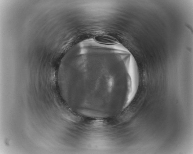 X0000102540320200808291848