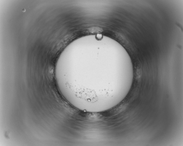 X0000102540321200808291848