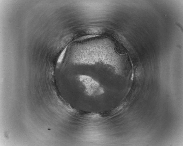 X0000102540322200808291848