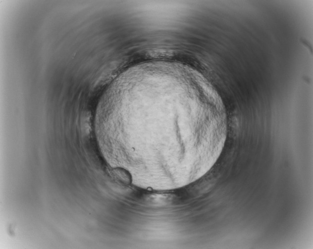 X0000102540323200808291848