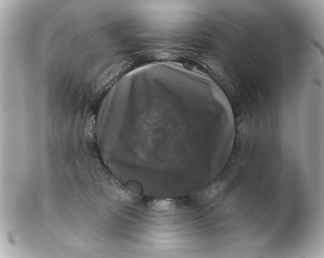 X0000102540325200808291848