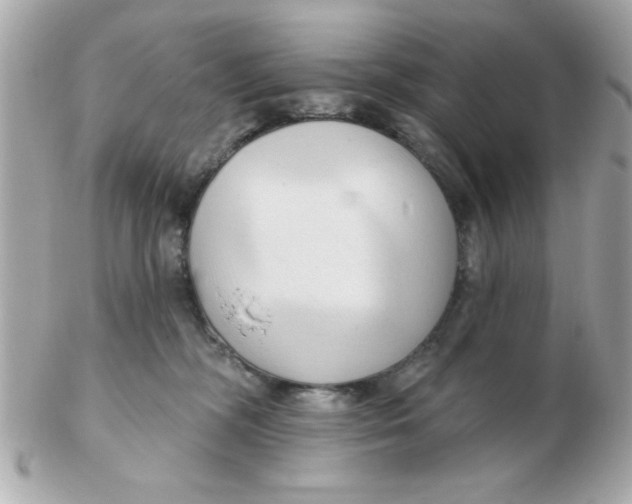 X0000102540326200808291847